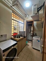 Dover Parkview (D5), Condominium #574012971